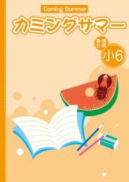 学書　カミングサマー　算数・国語・理科・社会合本