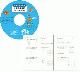学林舎　数学マイペースシリーズ 中学数学精選パターンドリル集【スタンダード版】