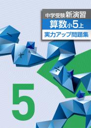<2016>エデュケーショナルネットワーク　中学受験新演習　実力アップ問題集　算数
